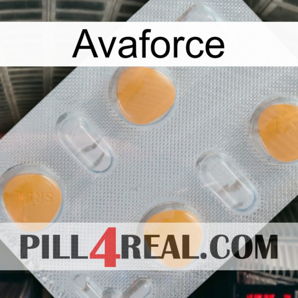 Avaforce 24.jpg